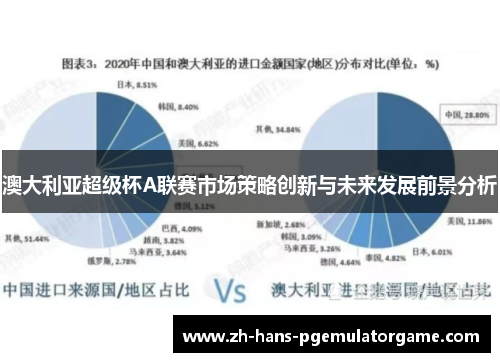 澳大利亚超级杯A联赛市场策略创新与未来发展前景分析