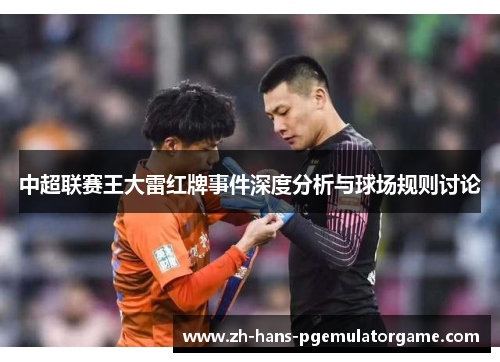 中超联赛王大雷红牌事件深度分析与球场规则讨论