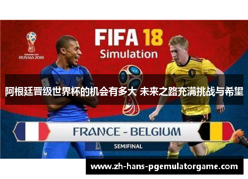 阿根廷晋级世界杯的机会有多大 未来之路充满挑战与希望