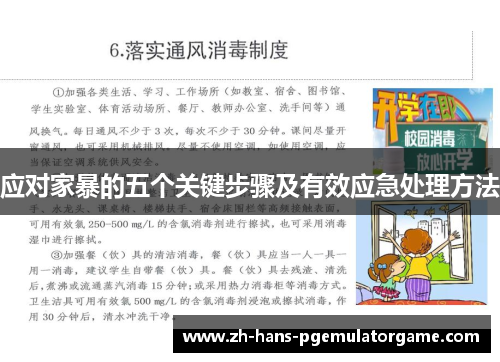 应对家暴的五个关键步骤及有效应急处理方法