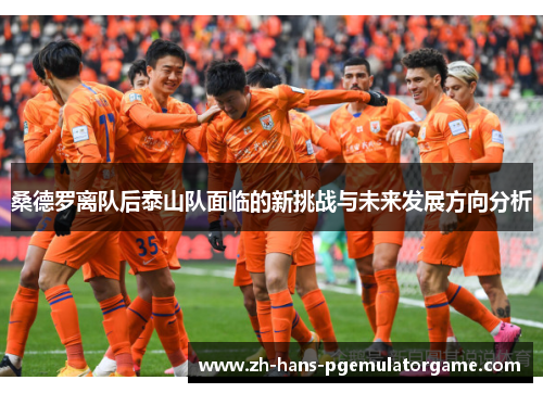 桑德罗离队后泰山队面临的新挑战与未来发展方向分析