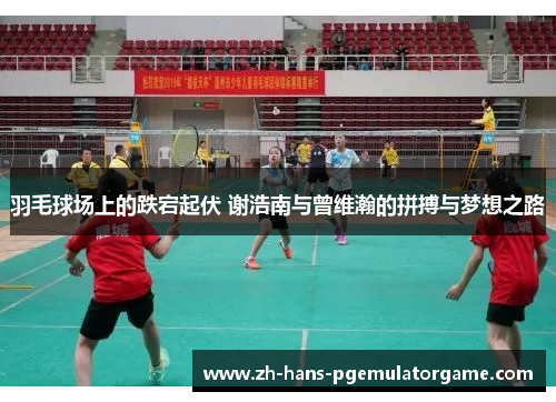 羽毛球场上的跌宕起伏 谢浩南与曾维瀚的拼搏与梦想之路