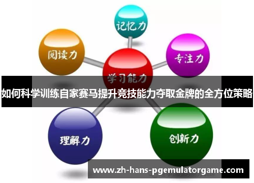 如何科学训练自家赛马提升竞技能力夺取金牌的全方位策略