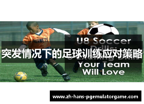 突发情况下的足球训练应对策略