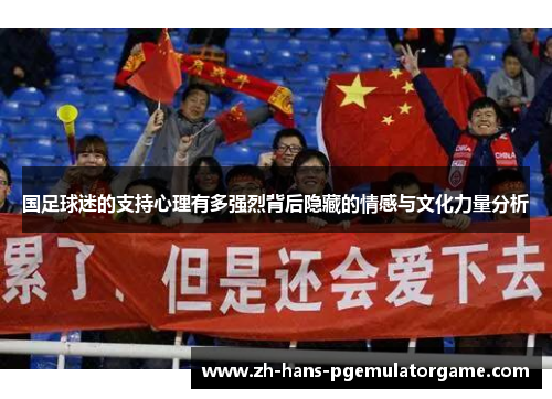 国足球迷的支持心理有多强烈背后隐藏的情感与文化力量分析