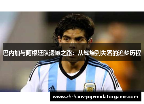 巴内加与阿根廷队遗憾之路：从辉煌到失落的追梦历程
