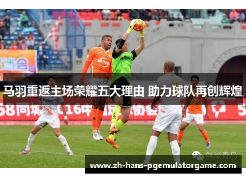 马羽重返主场荣耀五大理由 助力球队再创辉煌